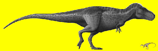Img:Dinosaurs compared